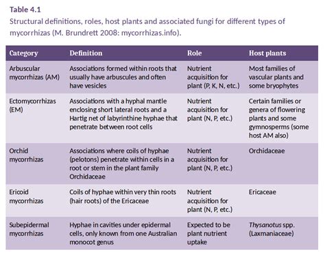 4.3.1 - Main types of mycorrhizas | Plants in Action