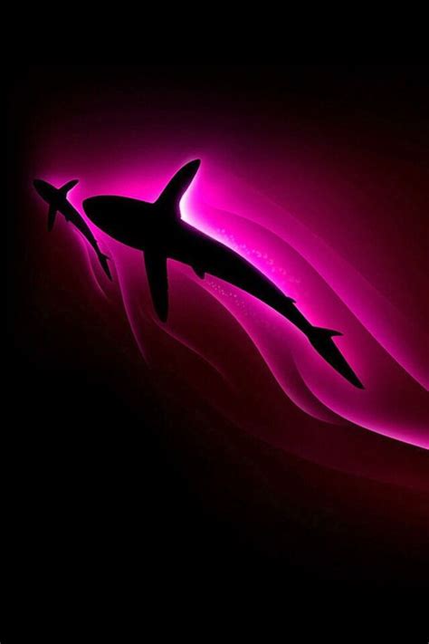 Neon pink sharks | Pink shark, Shark background, Shark wallpaper iphone