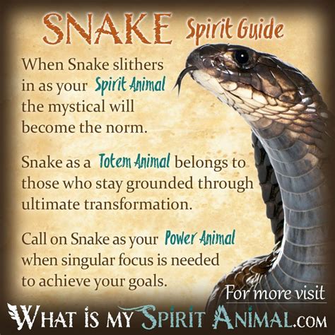 Snake Symbolism & Meaning | Spirit, Totem & Power Animal