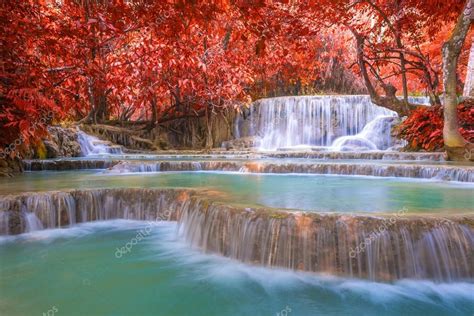 Waterfall in rain forest (Tat Kuang Si Waterfalls at Luang prabang ...