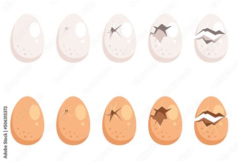 Broken egg isolated set collection. Vector flat cartoon graphic design ...