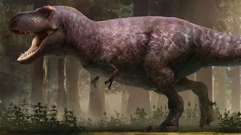 T-Rex Facts & Pictures - Dinousaurs | Science Facts