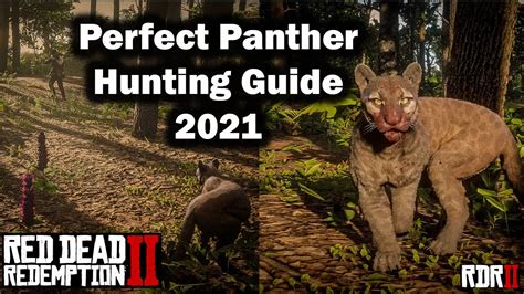 Vært for han hat red dead redemption 2 panther location Kinematik Vi ...