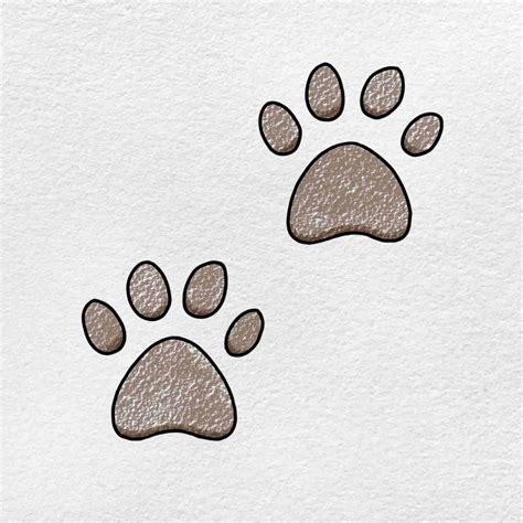 How to Draw a Paw Print - HelloArtsy