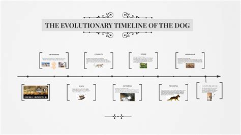 THE EVOLUTIONARY TIMELINE OF THE DOG by keyanna d on Prezi