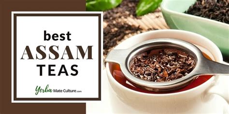 Find the Best Assam Tea Brands - Loose Leaf & Tea Bags