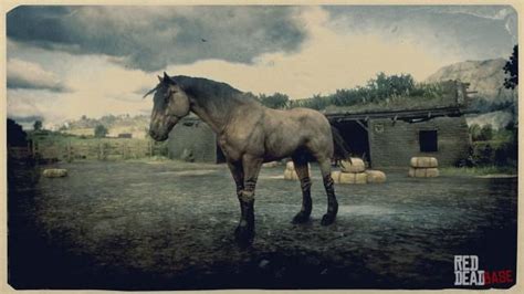 Mustang | RDR2 Horse Breeds Coats, Locations & Stats