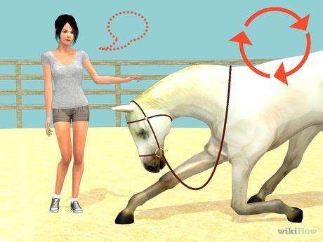 3 Ways to Teach a Horse to Bow Properly | Horses, Horse training, Horse ...