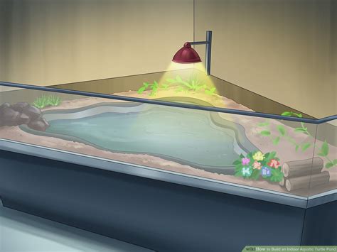 Indoor Turtle Pond Ideas - Best Decorations