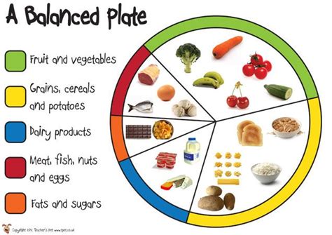 7 best images about BALANCED DIET POSTERS on Pinterest | EYFS, Medical ...