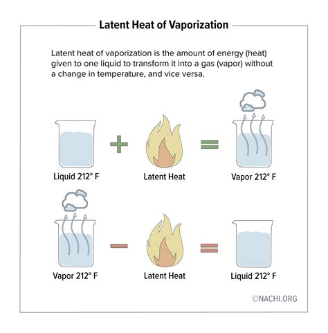 Latent Heat of Vaporization - Inspection Gallery - InterNACHI®