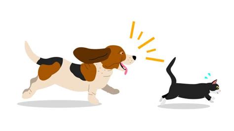 Dog Chasing Cat Illustrations, Royalty-Free Vector Graphics & Clip Art ...