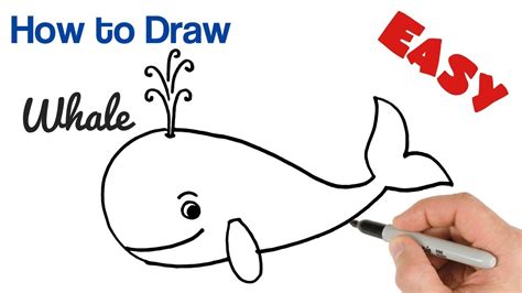 How to Draw a Whale fo Kids Easy and Cartoon - YouTube