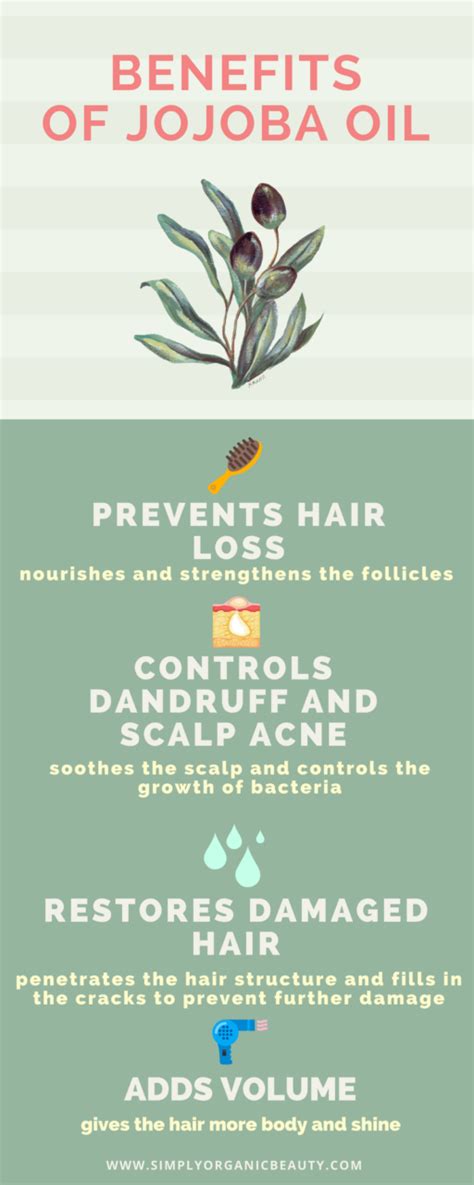 JOJOBA OIL Benefits: Why This Breakout Beauty Ingredient is the New “It ...