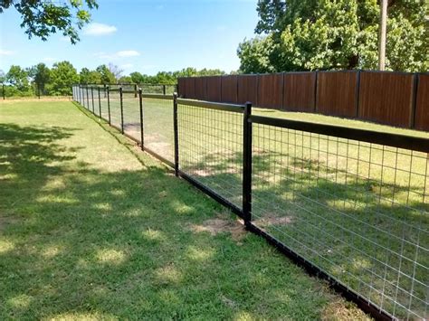 What Gauge Fencing Is Best For Dogs: A Pawsitive Guide