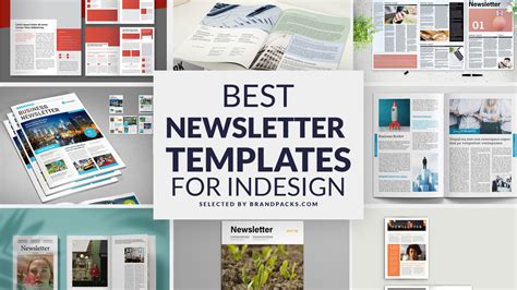 40 Best Newsletter Templates for InDesign - BrandPacks