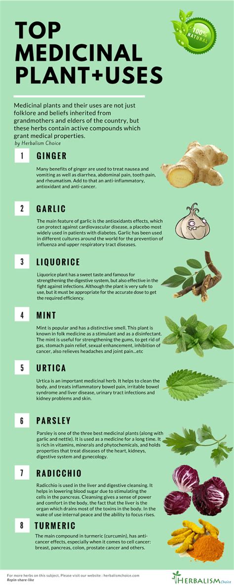 Top medicinal plants and their uses | Health & Beauty Informations