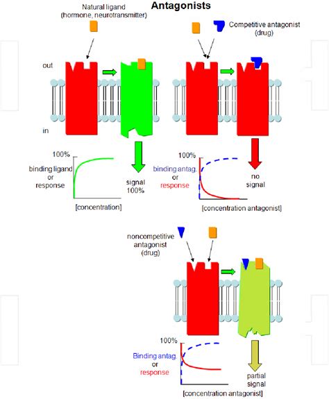 Figure 17 from 1 Enzyme Inhibition : Mechanisms and Scope | Semantic ...