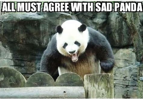 80 Amazing Panda Memes - Funny Memes