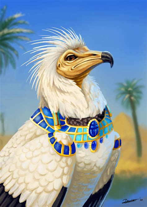 Egyptian Vulture by Foxofwonders on DeviantArt