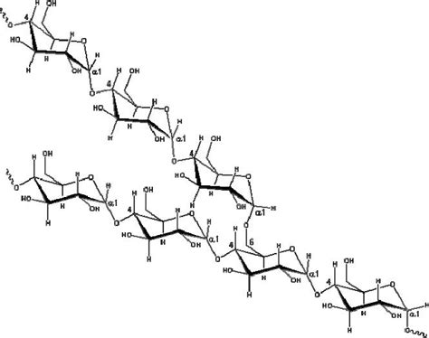 Overall Structure - starch