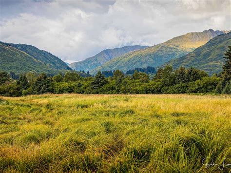 How to Go Kodiak Island Bear Watching in Alaska