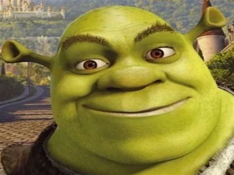 Image - Shrek in far far away.png | DiamondMinerStudios Wikia | FANDOM ...