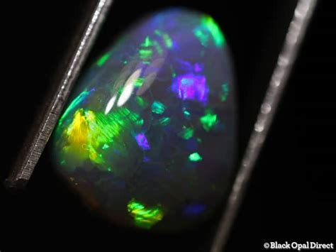 3.10 ct drop shape black opal 11.5x9.5x4.5mm - Black Opal Direct