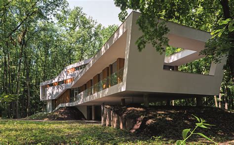 Gallery of A House In A Forest / Igloo Architecture - 1