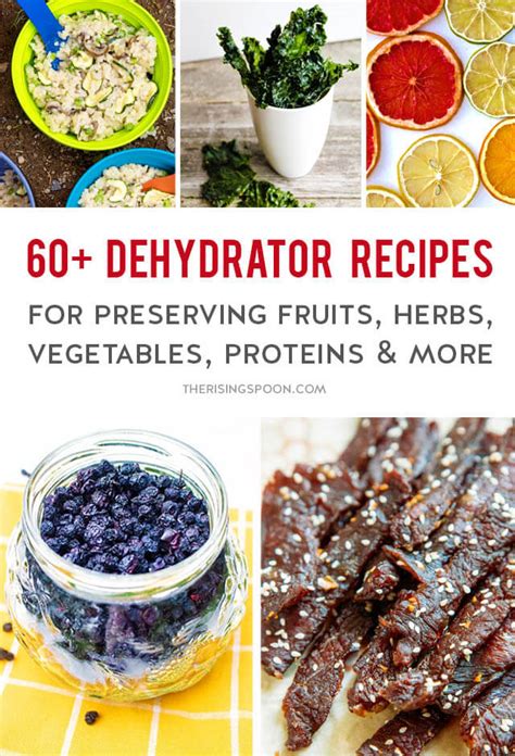 60+ Dehydrator Recipes For Preserving Food, Saving Money & Eating ...