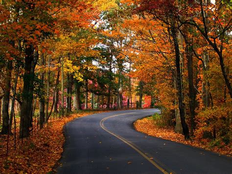 Fondos de Pantalla Estaciones del año Otoño Carreteras árboles Follaje ...