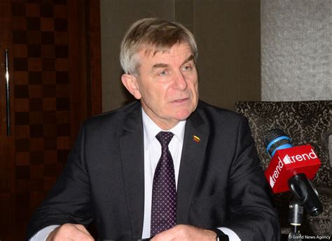 Seimas speaker: Azerbaijan, Lithuania intend to elevate relations to ...