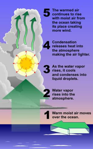 Tropical Cyclone Introduction | National Oceanic and Atmospheric ...