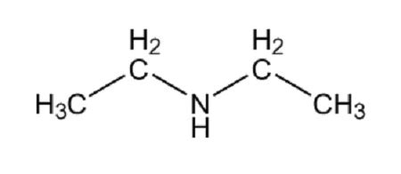 Draw the structure of the compound diethylamine. | Homework.Study.com