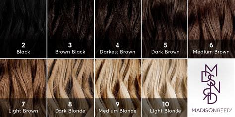 What Color Is My Hair? Color Levels Guide | Madison Reed | Hair chart ...