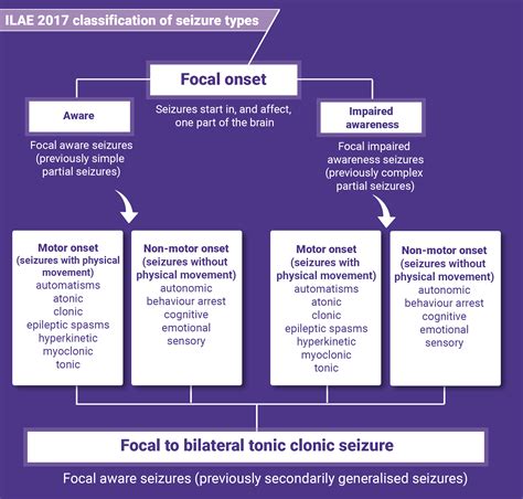 ILAE new seizure classification | Epilepsy Society