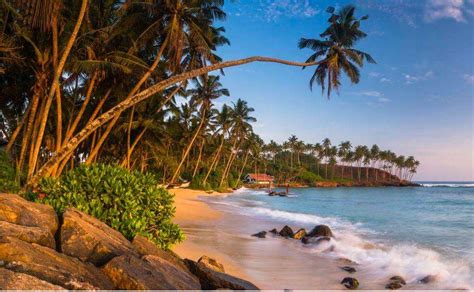 4 Picturesque Beaches In Trincomalee Sri Lanka Worth Falling In Love