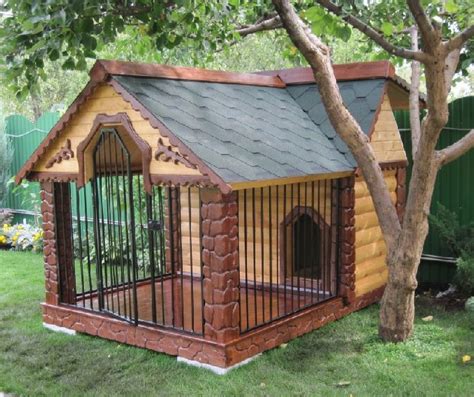 Cool Dog Houses Designs