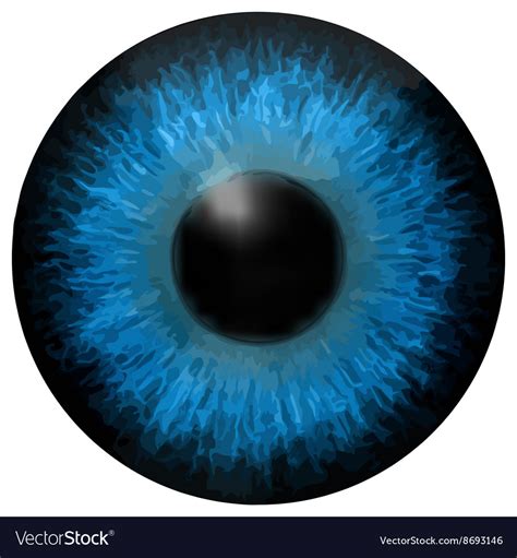 Eye iris texture Royalty Free Vector Image - VectorStock