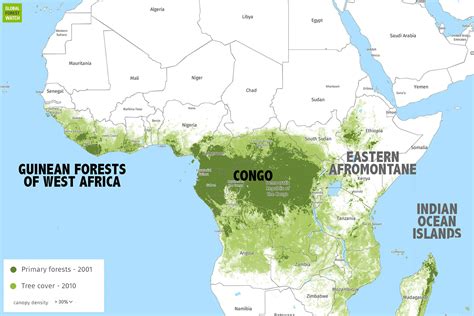 Rainforest In Africa Map Africa Map | Images and Photos finder