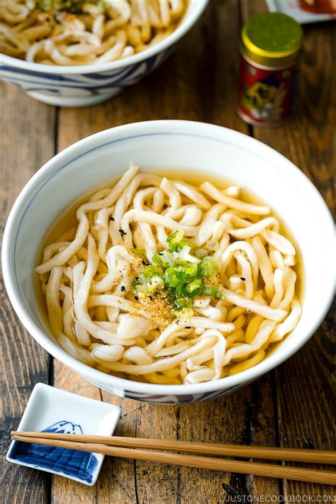 Udon Noodle Soup (Kake Udon) かけうどん (2022)