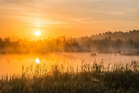 Golden Sunrise At Foggy Lake Stock Image - Image of foggy, early: 123977259