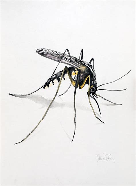 Mosquito Painting by Jennifer Lindsley