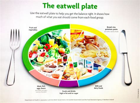 eatwell plate – Nutrition/Food