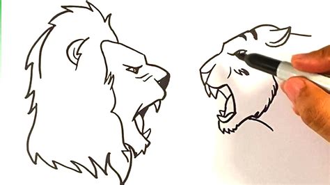 Tiger Vs Lion Drawing