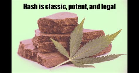 What’s the Story with Hashish? | Bud Man Orange County