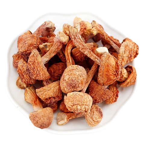 Agaricus Blazei Extract and Anti-Cancer