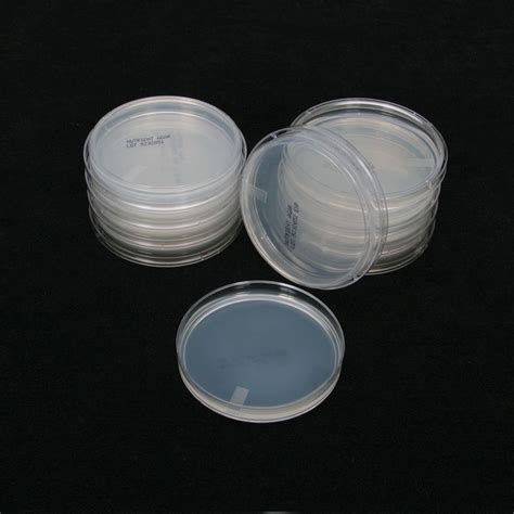 Nutrient Agar, Prepared Media Plates 100 x 15 mm, Pack 10 | Carolina.com