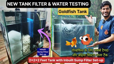 Goldfish Tank Filter and Water Test, Best Filter system for small Tanks ...