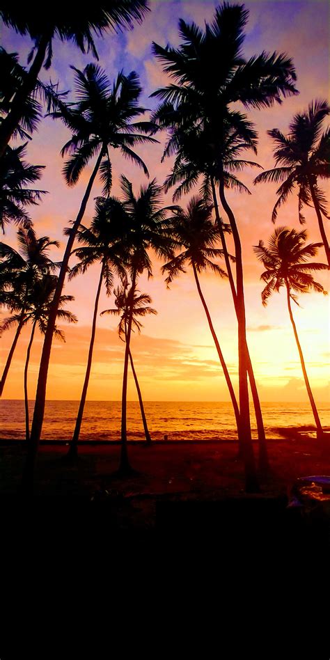 Beautiful Sunset at Anjuna Beach Goa (2080 x 4160) : r/india